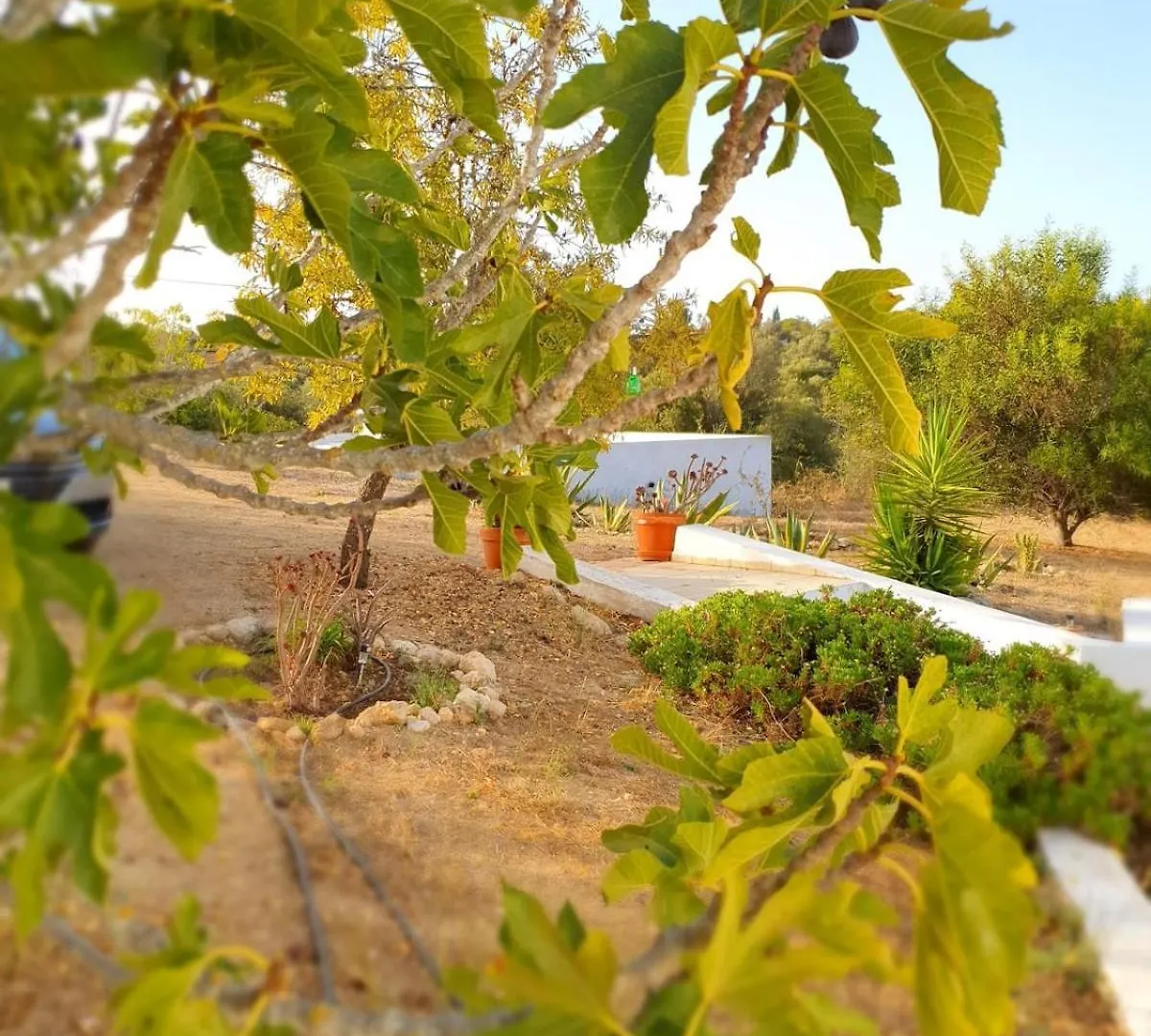Villa Casa Do Campo Carvoeiro  Portogallo